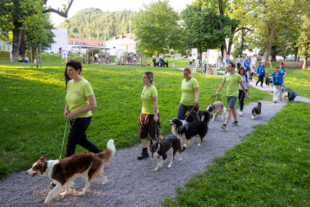 Pasji športni dan_6. 8. 2025 (2)